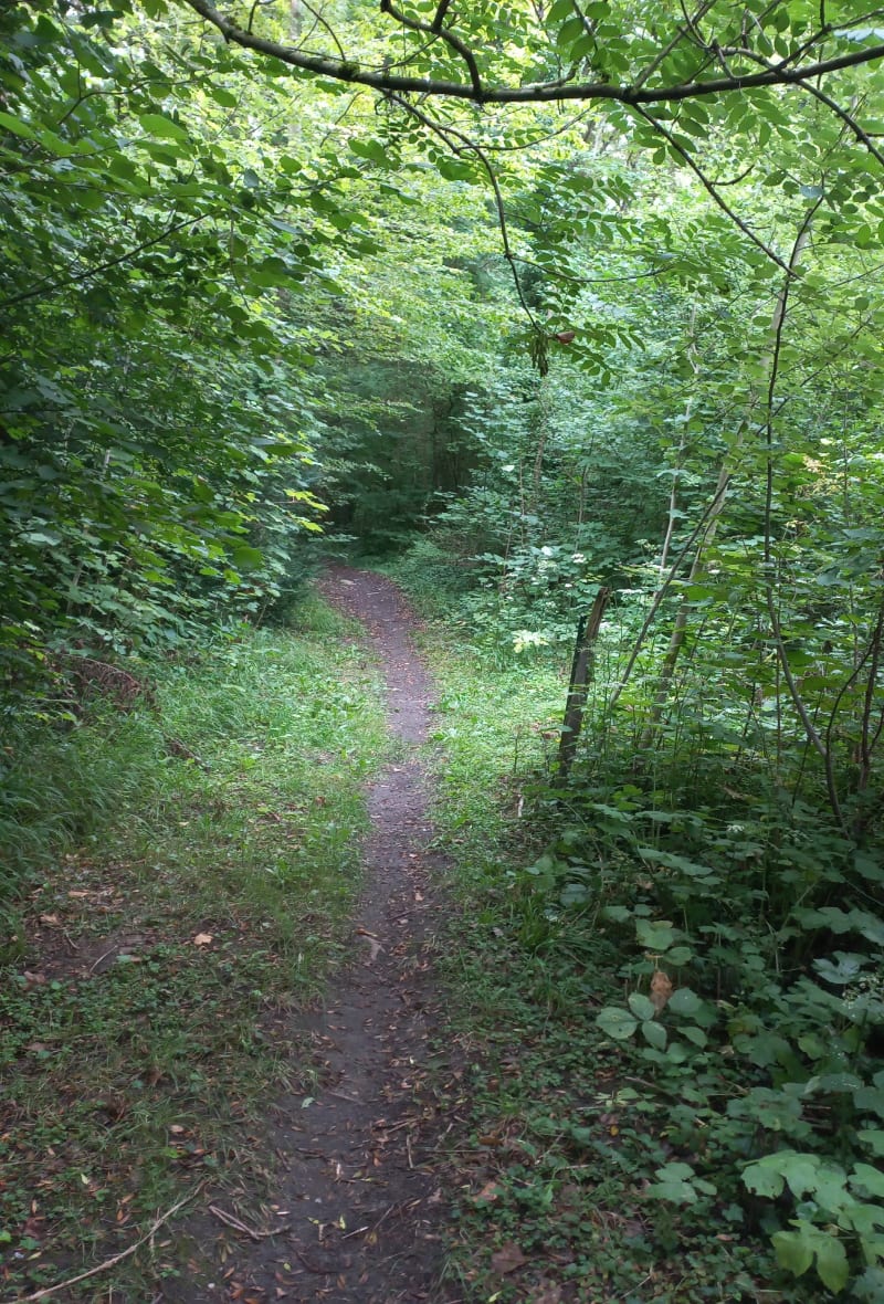 Marche dans les carrières - Bruyères-et-Montbérault