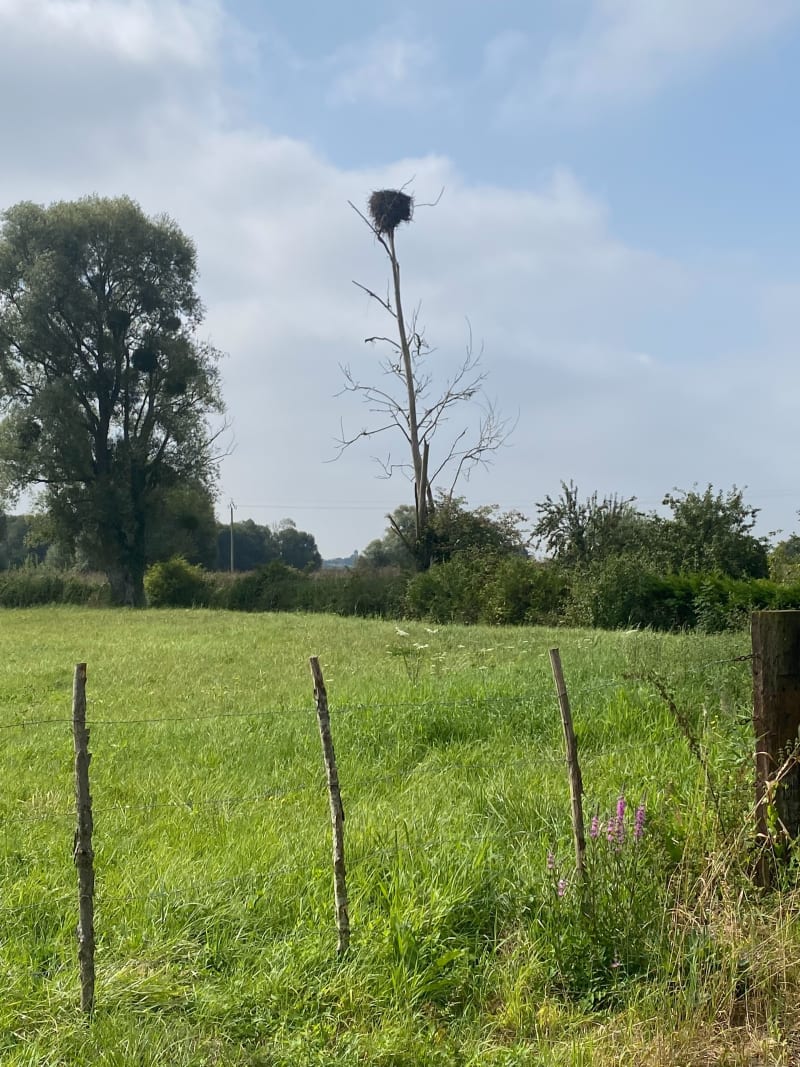 Balade dans le pays d’Auge - Houlgate