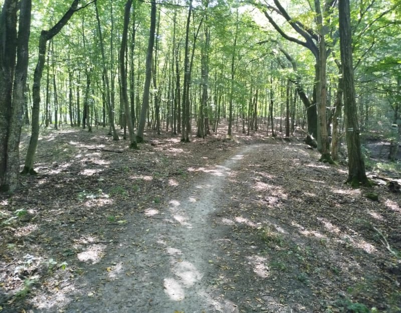 12km z targowiska do j.Brzostek przy orlenie powrót - Pobiedziska