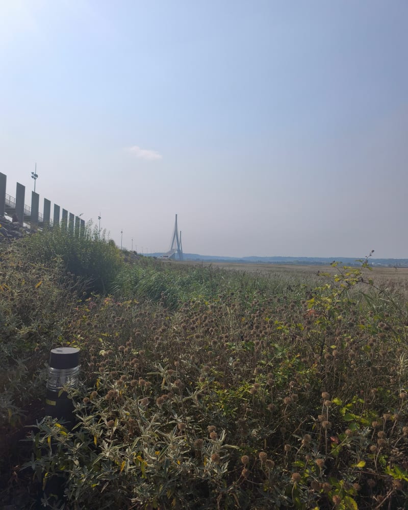 Soquence - Pont de Normandie - Le Havre