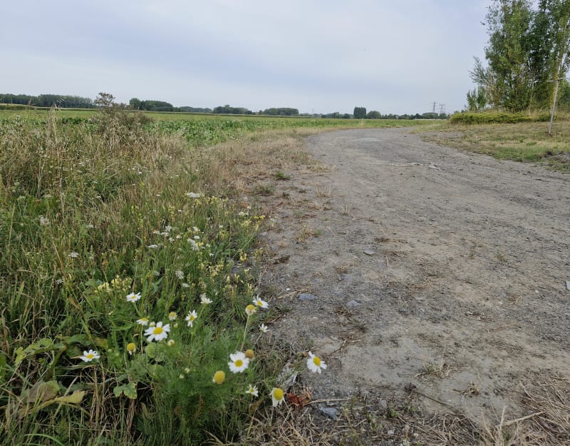 Vers Pont-à-Marcq par la voie verte et autres voies - Avelin