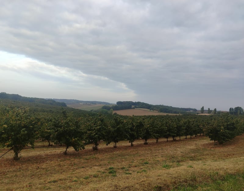 Balade à Hautesvignes - Hautesvignes