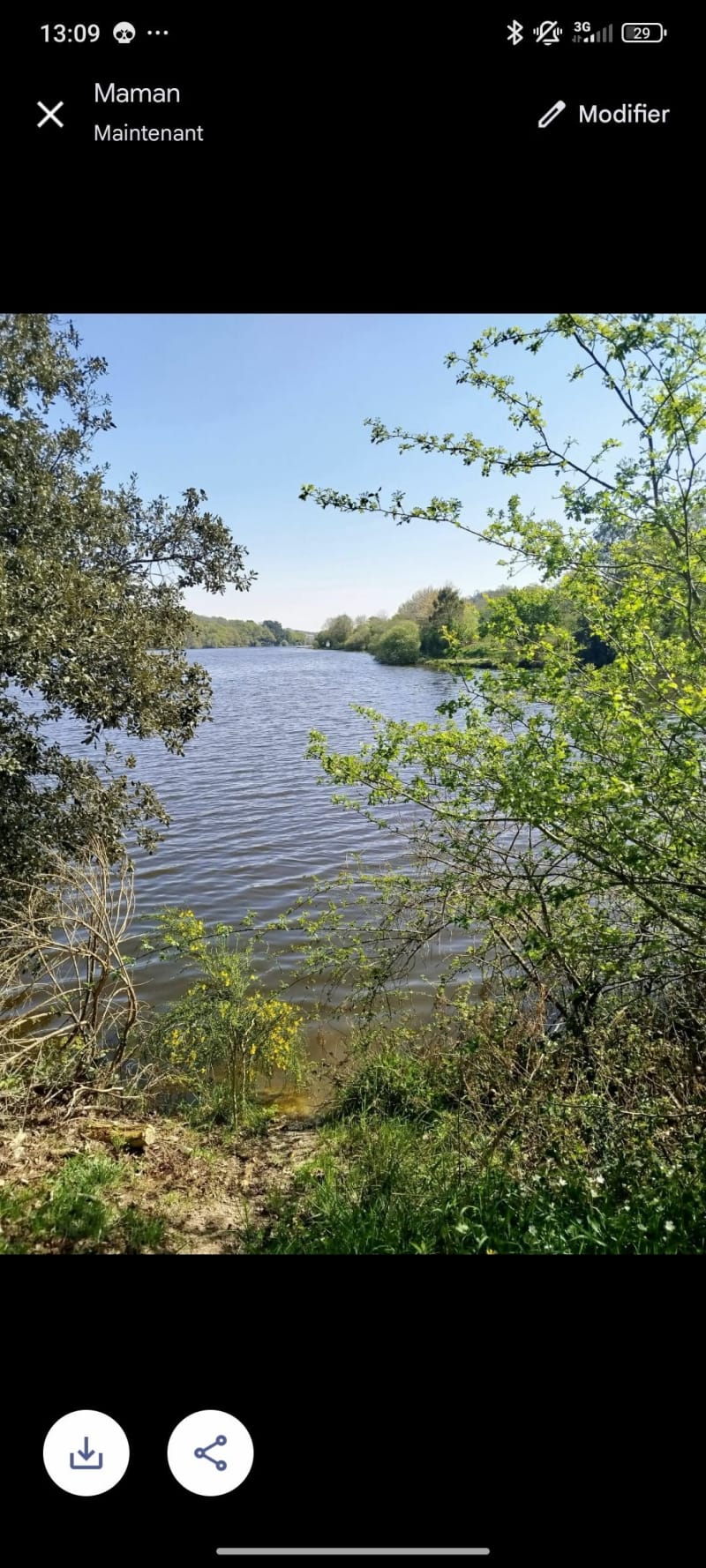 Lac du jaunay - Saint-Julien-des-Landes