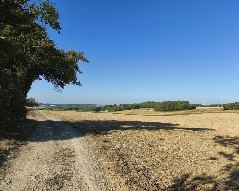 Entre bois et chemins à Chèzeneuve - Chèzeneuve