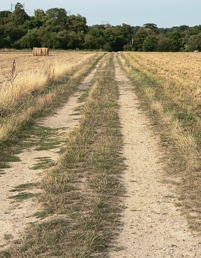 Routes et chemins autour de Semblançay - Semblançay