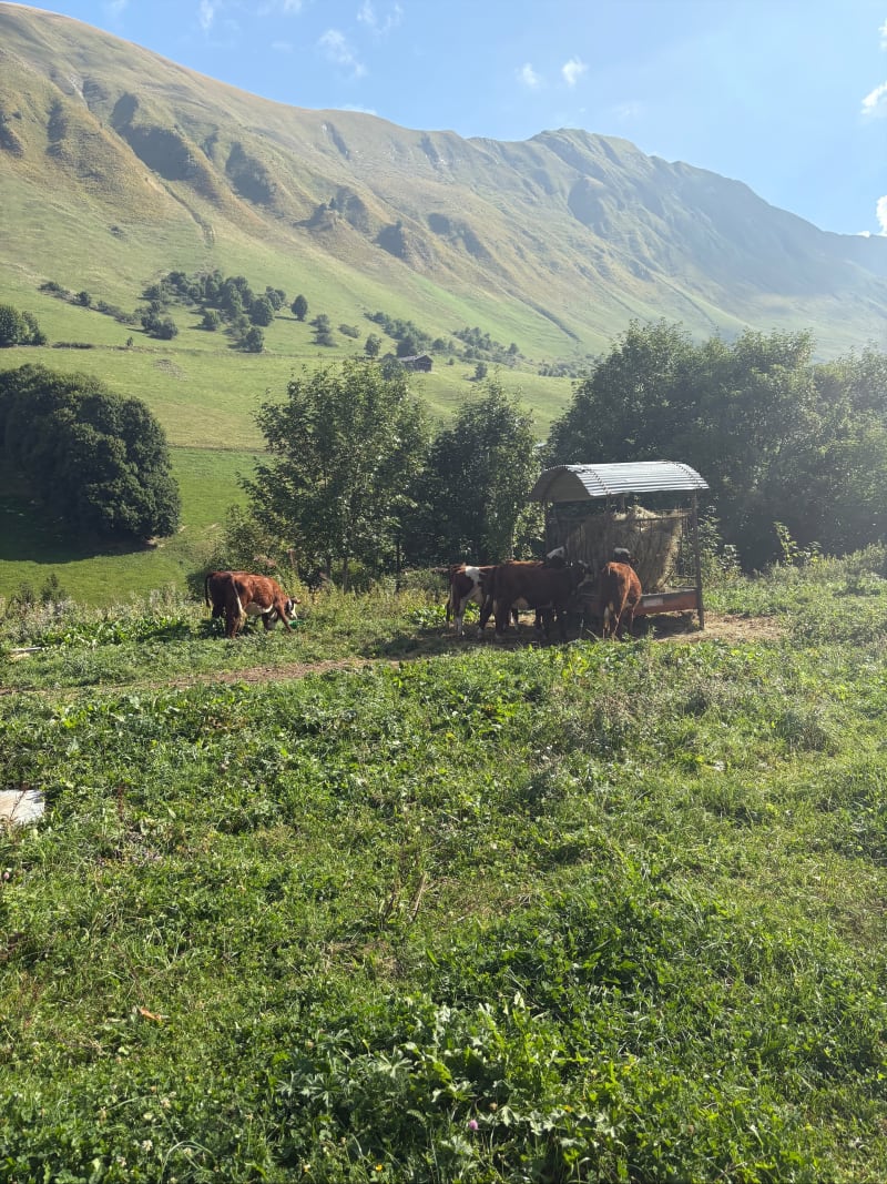 Rando facile depuis Le Chinaillon - Le Grand-Bornand