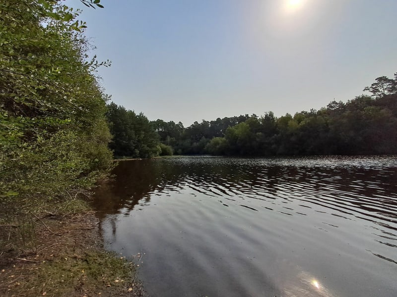 Promenade au bord du lac de Feyt - Servières-le-Château