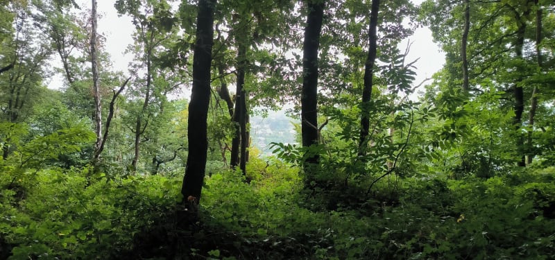 Astridparkwandeling / Blanc Gravier / Saint Tilman - Liège