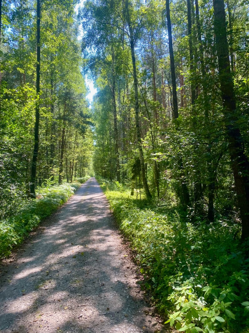 Szlak rowerowy „Na górę Chełmo” - Radomsko