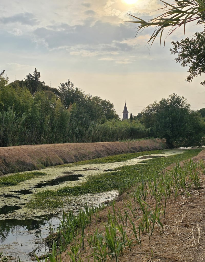 Balade entre Valergues et Saint-Nazaire-de-Pézan - Valergues