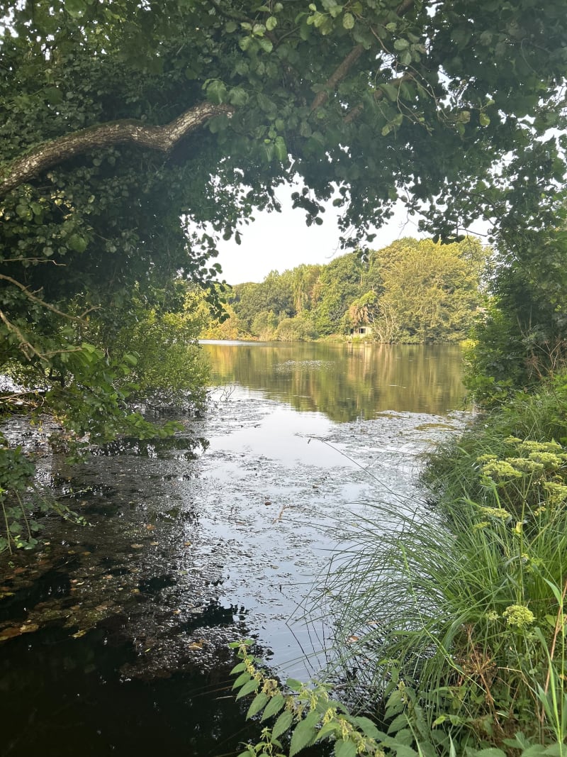 Balade matinale à Plouvorn - Plouvorn