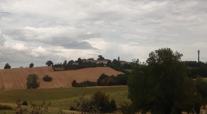 Boucle autour de Roquelaure, à la rencontre des ragondins - Roquelaure