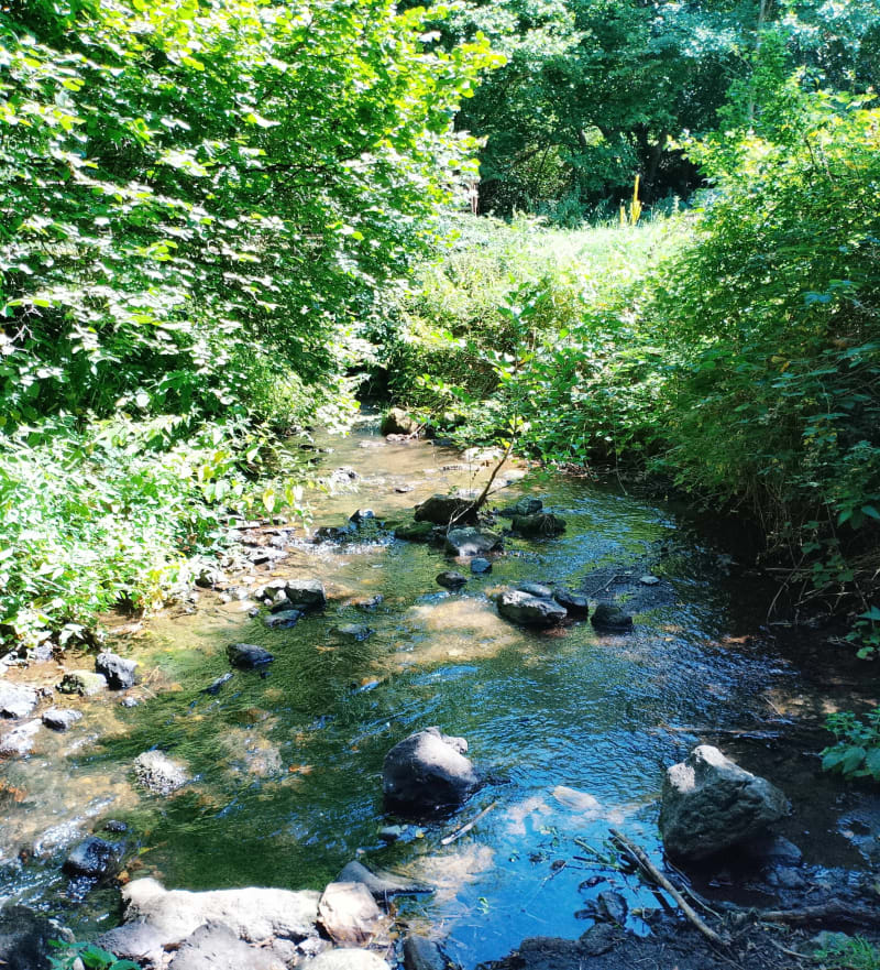 Marche nature à Mélicourt - Mélicourt