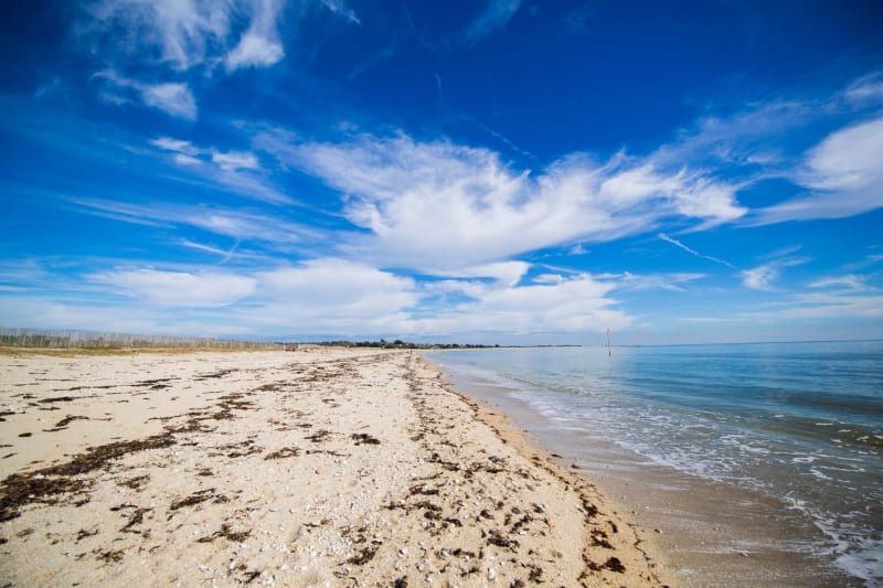 La plage de Suscinio sur la presqu'île de Rhuys.