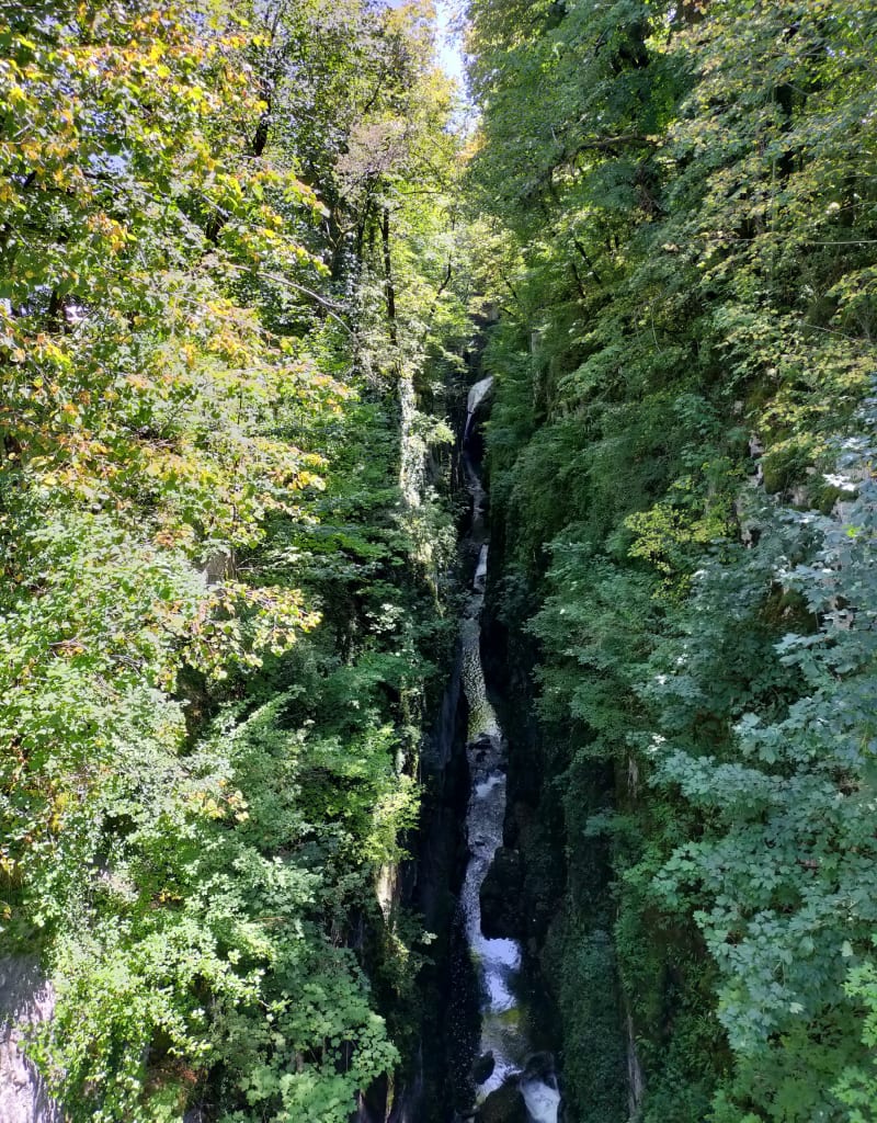 Gorges de la languouate - Les Planches-en-Montagne