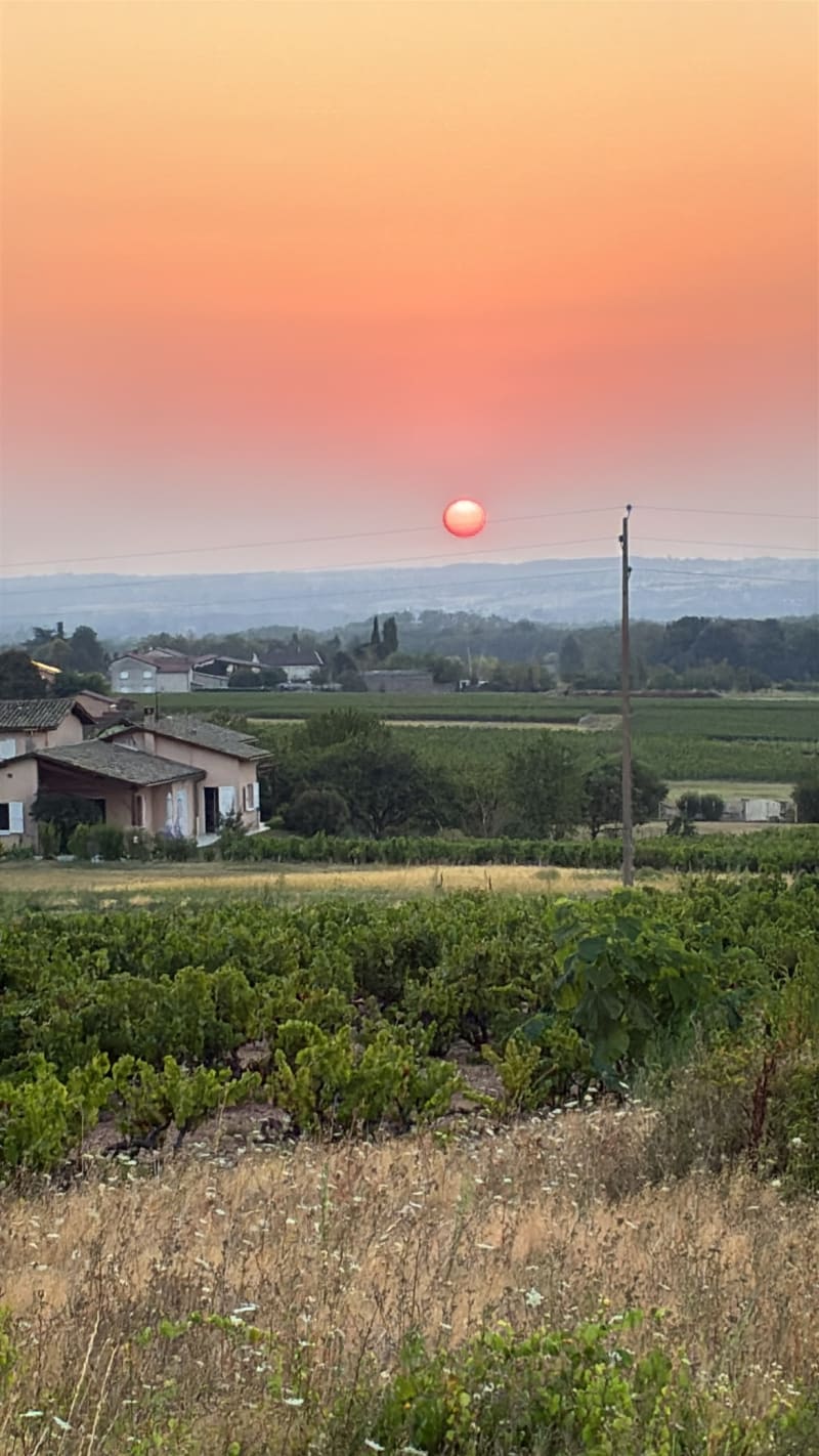 Arnas - Charentay - Arnas