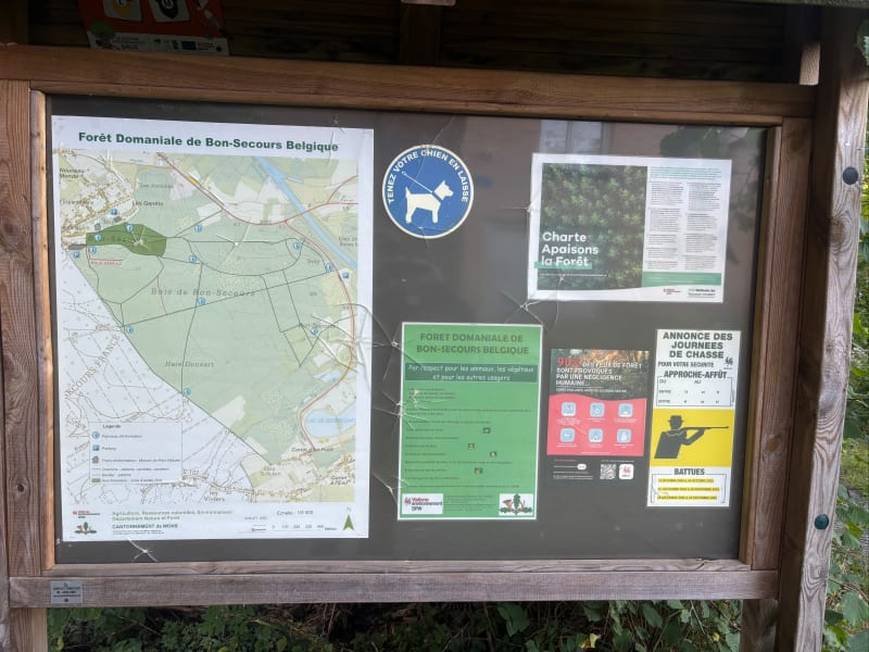 Bon Secours Woods - Peruwelz - Péruwelz