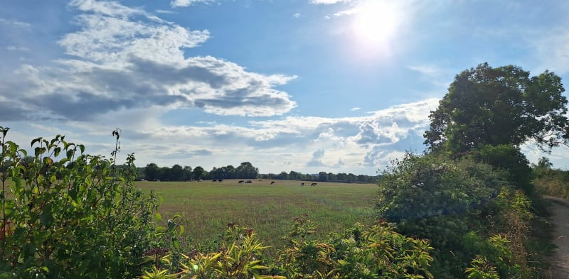 Balade aux alentours de Biounac, Courdournac et Bozouls - Bozouls