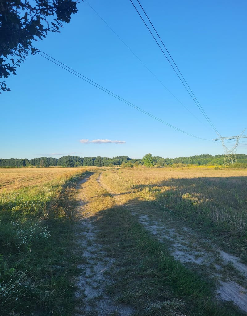 Przez pola i pastwiska - Kłodawa