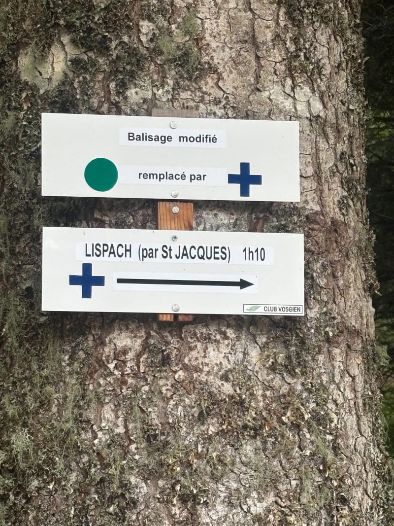 Du Gouttridos au Lac de Lispach - Xonrupt-Longemer