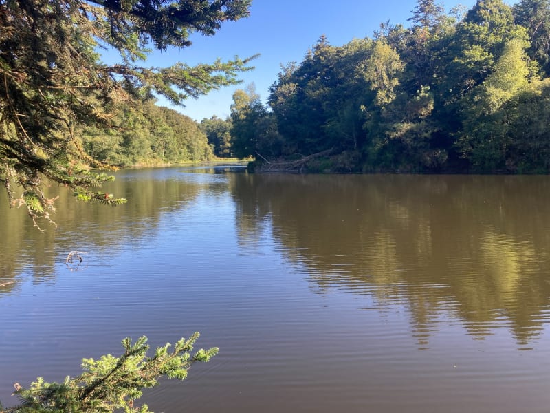 Bois de Tremelin et île de Locastel - Inzinzac-Lochrist