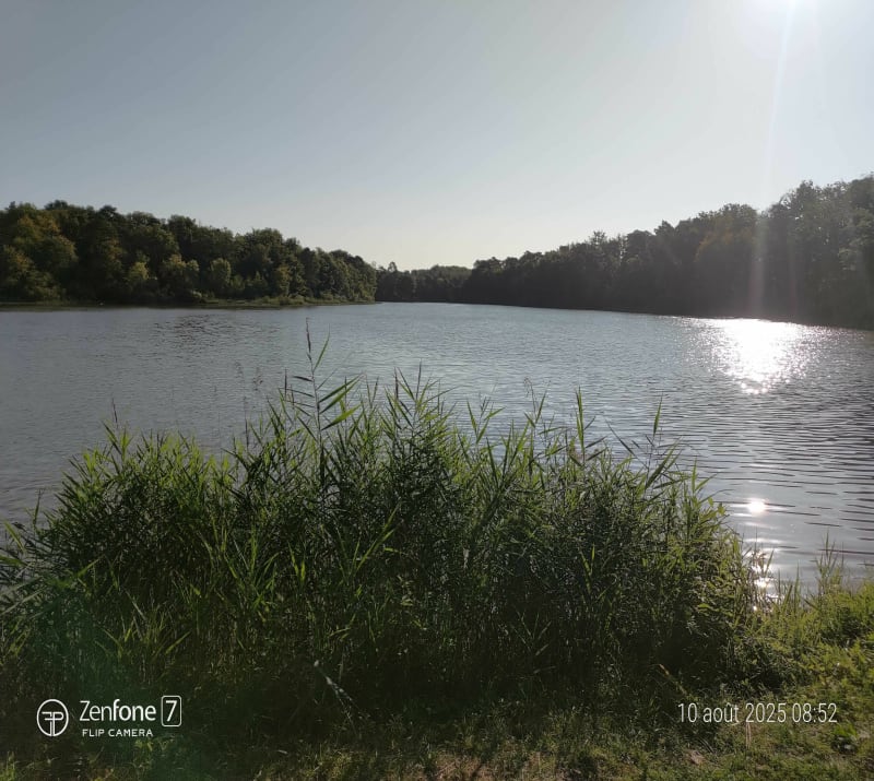 Étang de la vallée - belvédère de la Caillette - Combreux