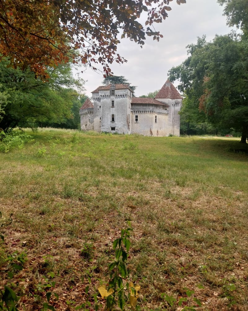 Au cœur de la forêt près de Lac Ladoux - Antonne-et-Trigonant