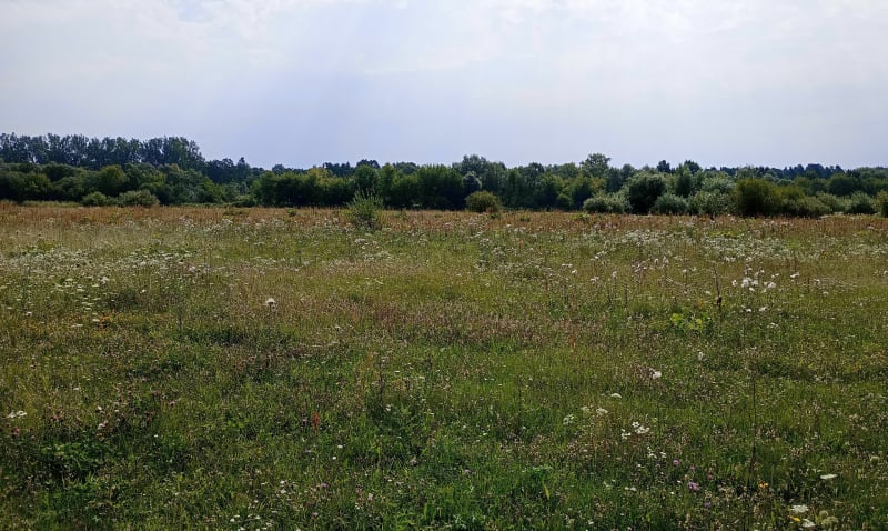 Pętelka wzdłuż Bugu - Rybienko Nowe