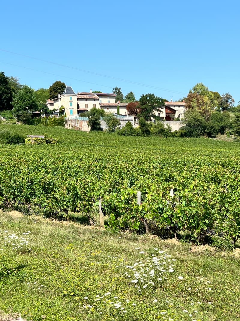 Autour d’un village du Beaujolais : Lucenay - Lucenay