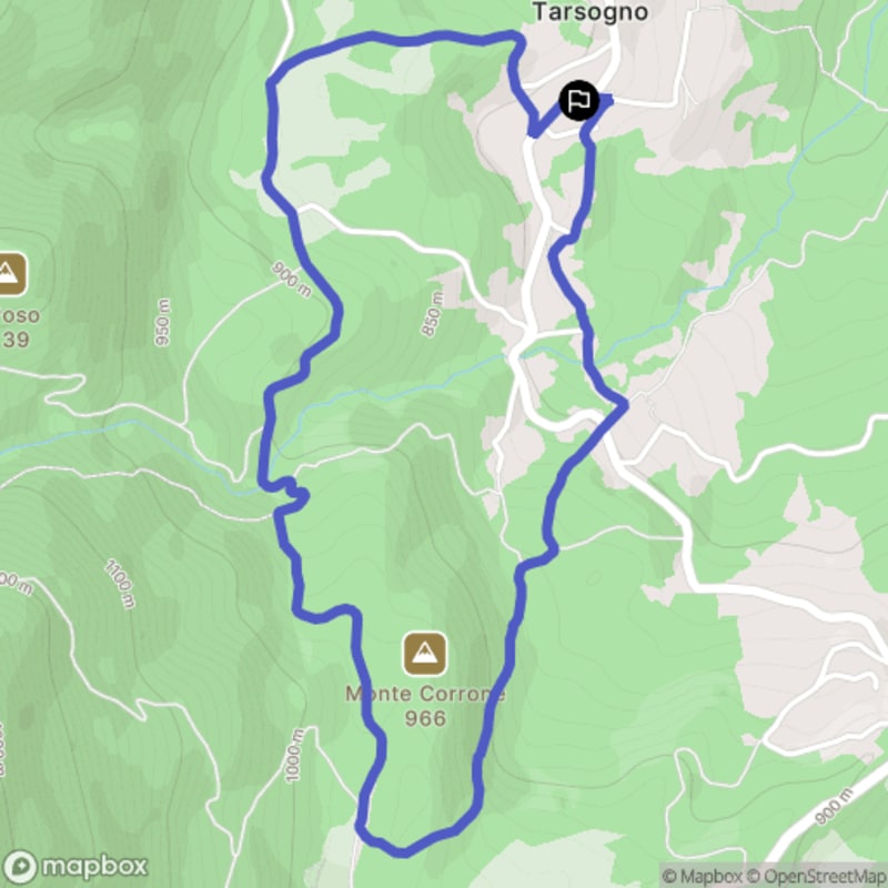 Randonnée au départ de I Buricchi à Tornolo, Emilia-Romagna - Tarsogno