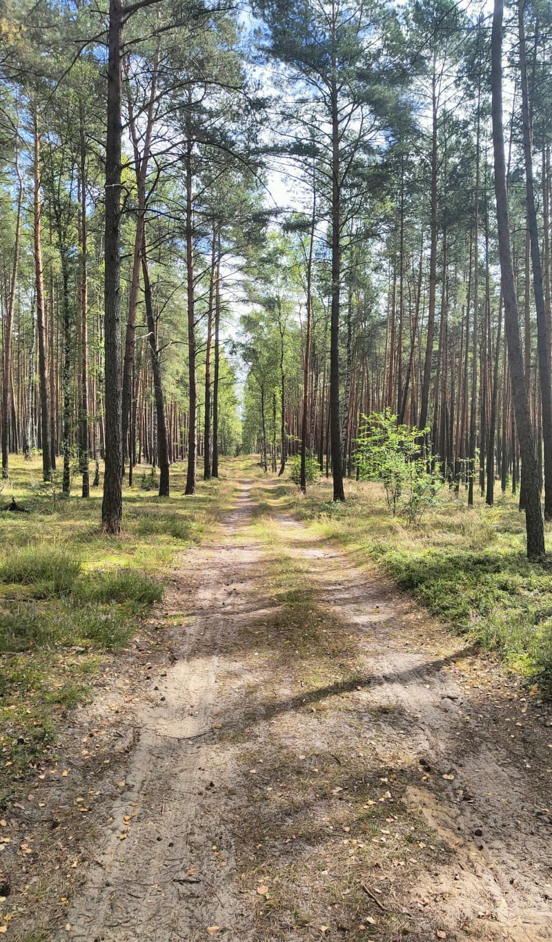 Płotki - relaks i rekreacja - Piła