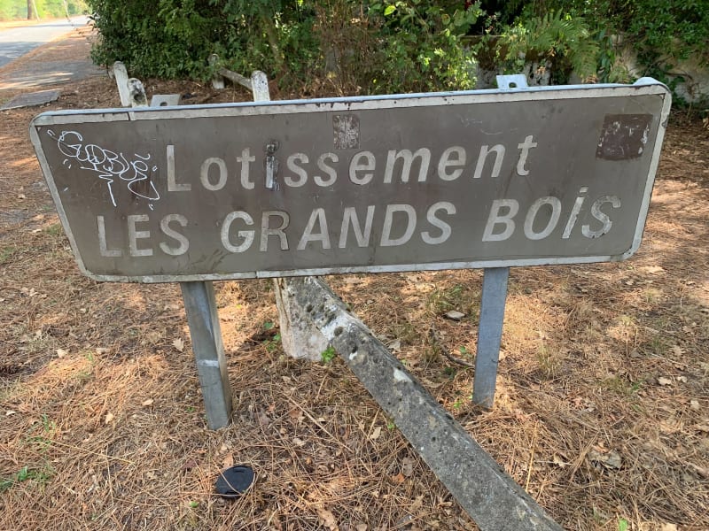 Randonnée dans les grands bois de Gradignan - Gradignan