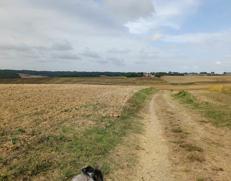Petite balade campagnarde autour de Seyches - Seyches
