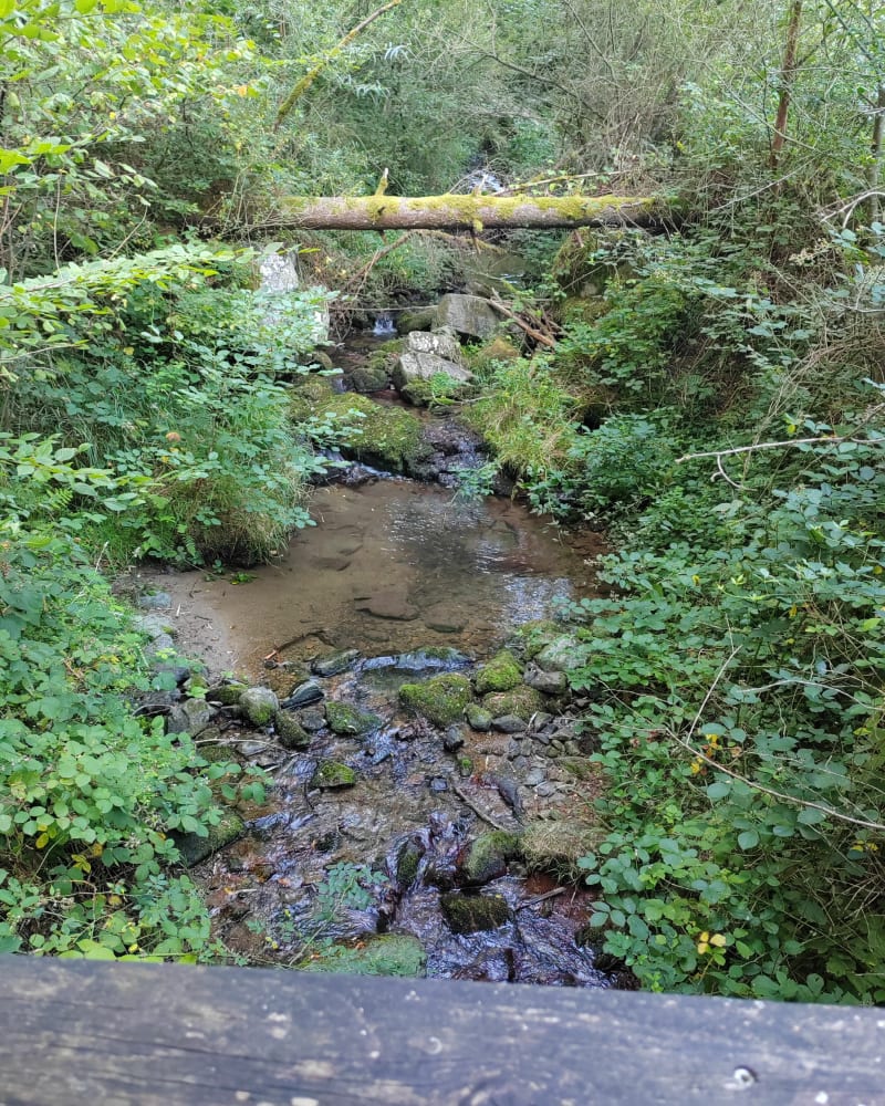 Le long de la Boussuivre puis traversée des hameaux - Saint-Marcel-l'Éclairé