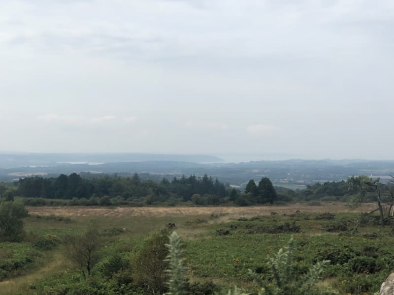 Parcours forestier au domaine de Menez Meur - Hanvec