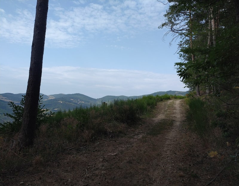 Saint-Félicien - Pourchat - Saint-Félicien