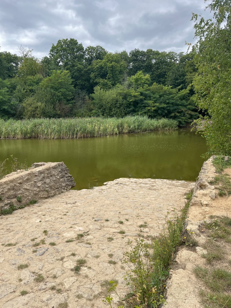 Étang Godard Château de la chasse - Eaubonne