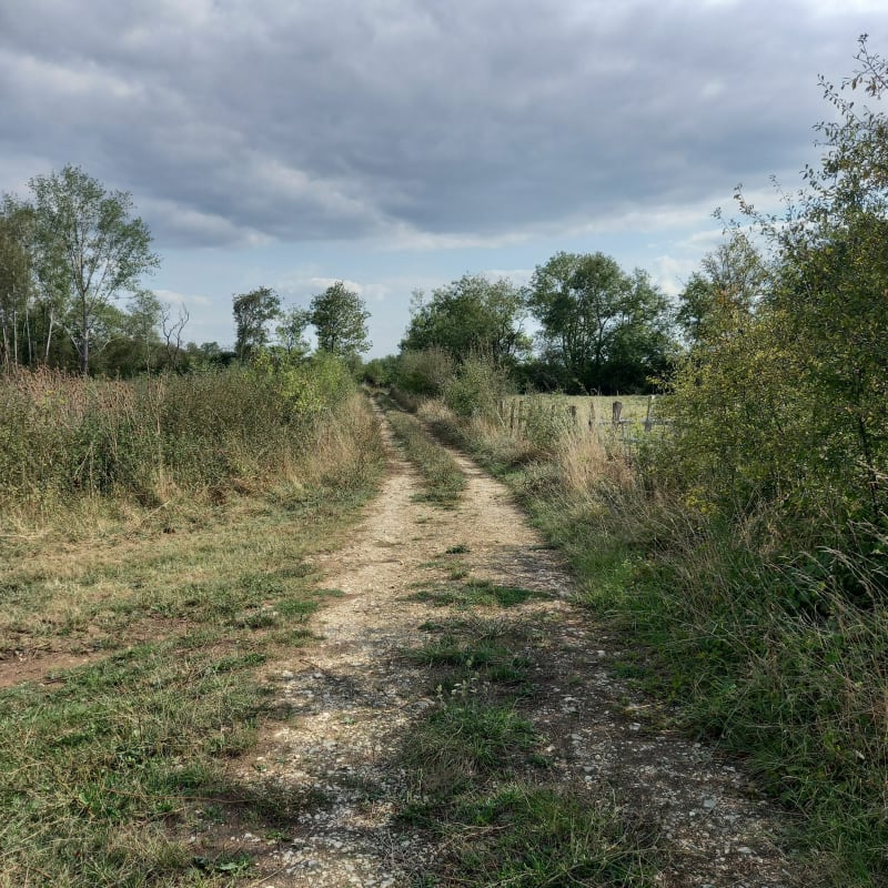 Balade autour d'Ouroux sur Saône - Ouroux-sur-Saône
