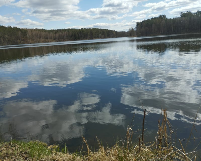 Wokół Lubniewic - Lubniewice