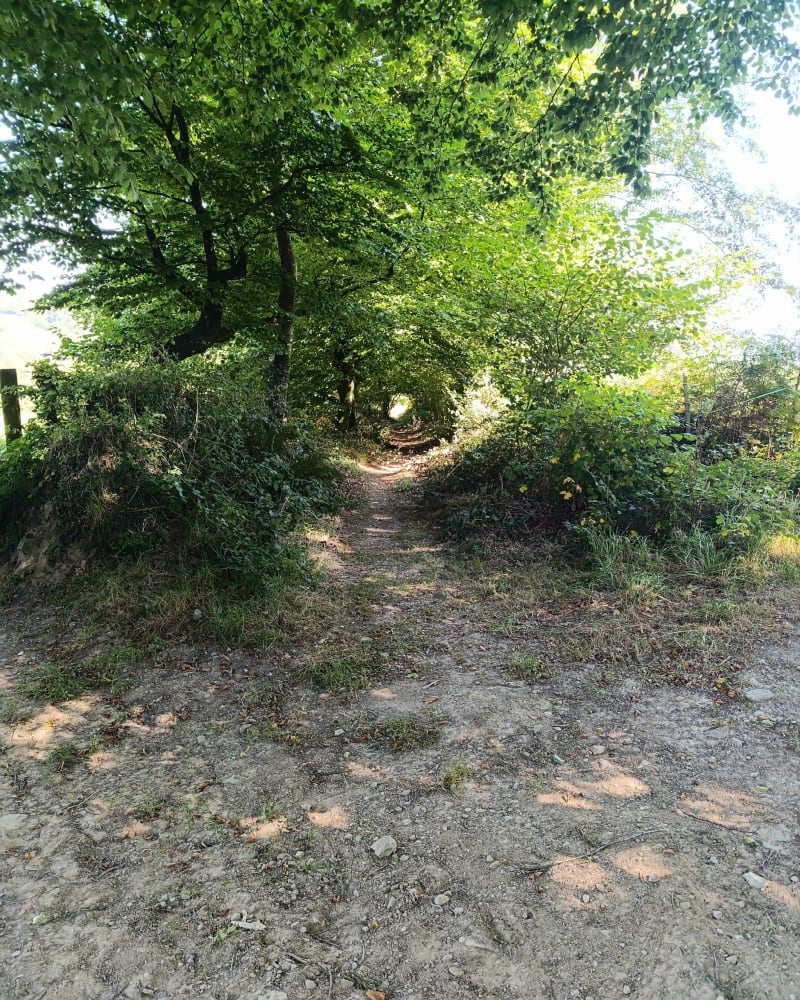 Balade à Quettetot - Bricquebec-en-Cotentin