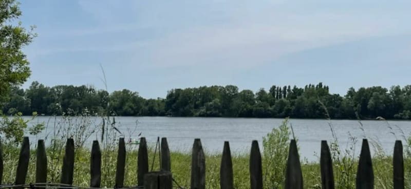 Entre Loire, Anthony et vignes - Saint-Léger-de-Linières