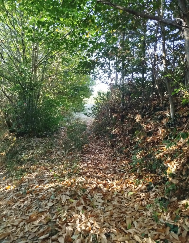 Balade familiale autour de Varacieux - Varacieux