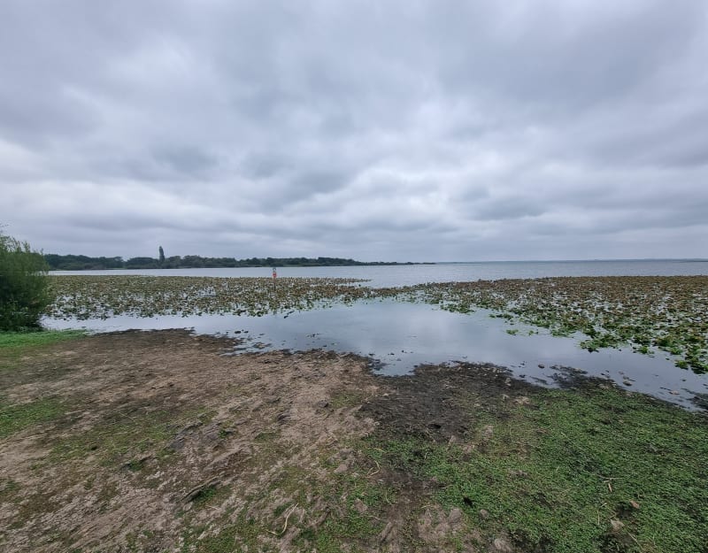 Direction le lac de Grand-Lieu - Rezé