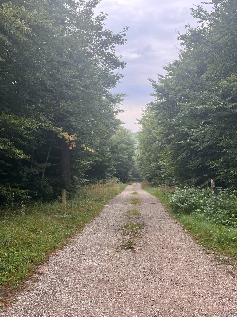 Parcours de santé Diemeringen - Diemeringen