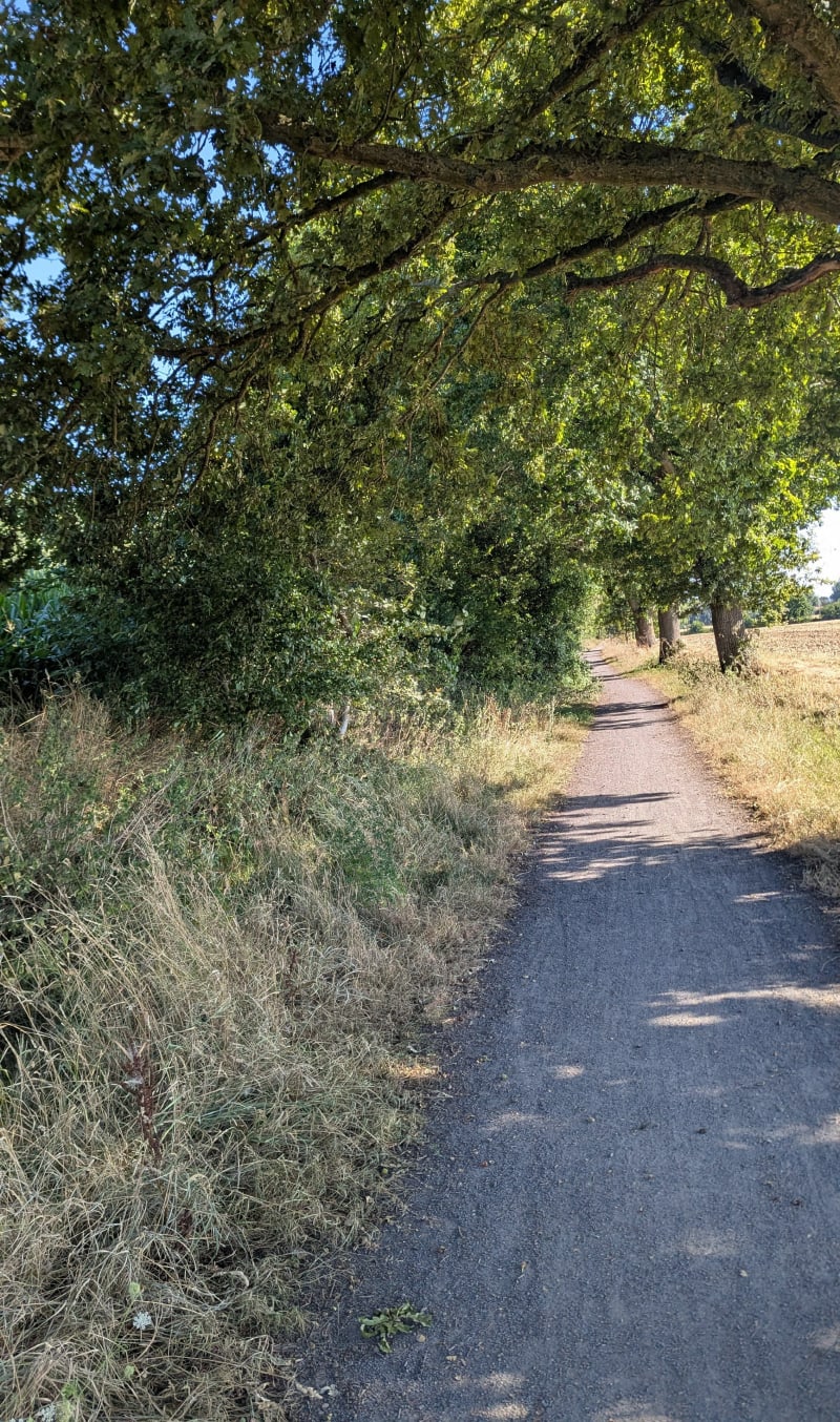 Voie verte et pavés autour de Cappelle-en-Pévèle - Cappelle-en-Pévèle