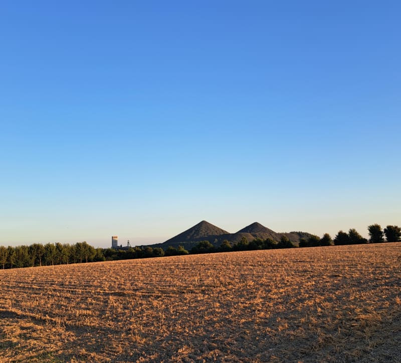 Sortie Loos-en-Gohelle - Loos-en-Gohelle