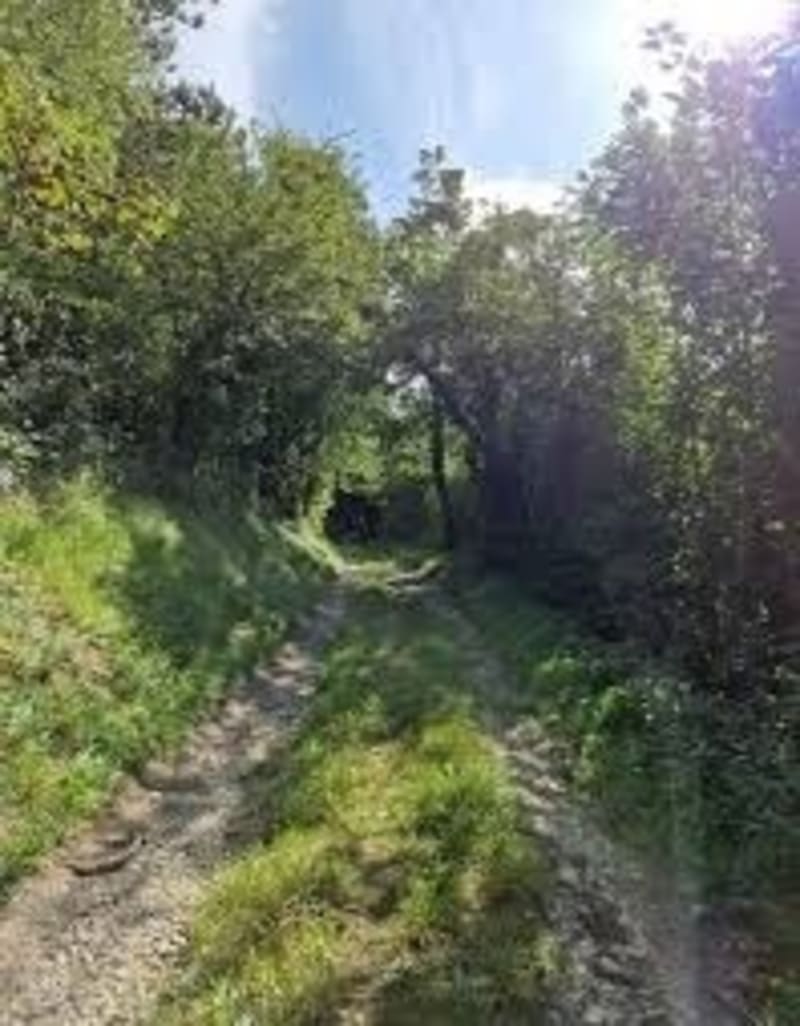 Boucle depuis Esquerdes - Esquerdes