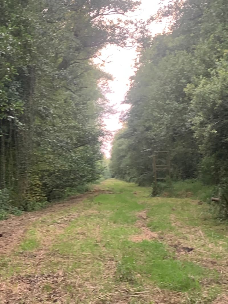 Marais Bruyères de Cessieres - Cessières-Suzy