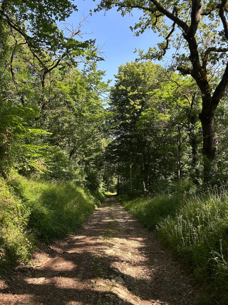 Boucle le Bergey, Belle Côte, Pignole - Mérignas