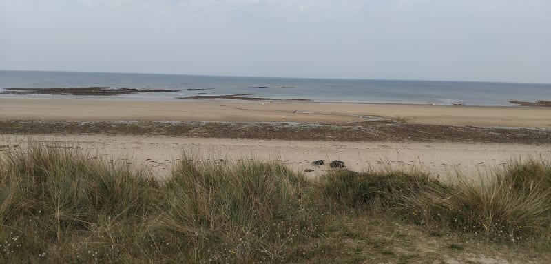 Havre de Saint-Germain et Lande de Lessay - Saint-Germain-sur-Ay